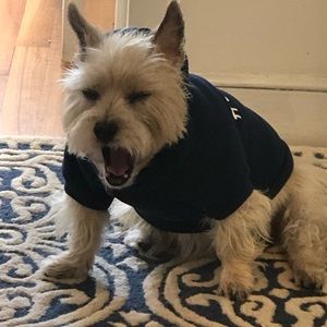 Meet your Posher, Colleen